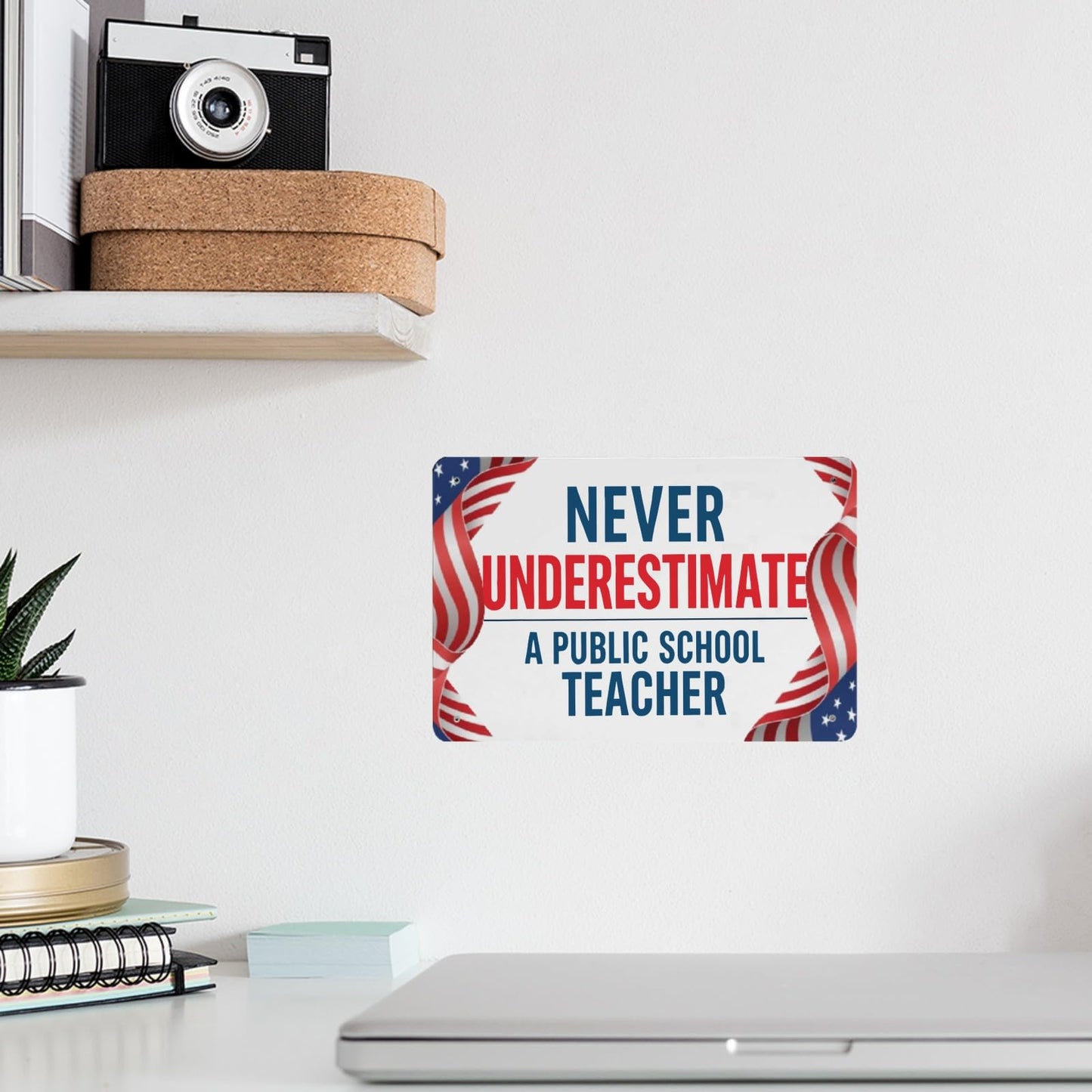 Public School Teacher Funny Tin Sign - Bathroom & Garage Decor