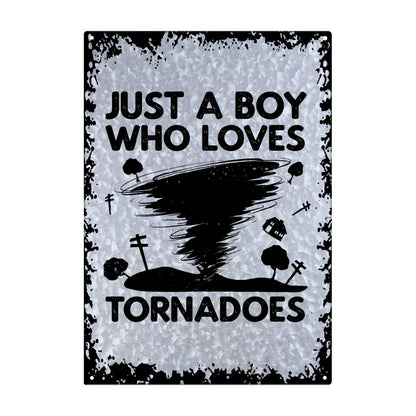 Tornado Lover Galvanized Metal Wall Decor